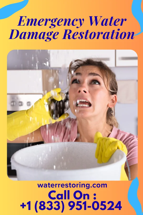 Emergency Water Damage Restoration in Versailles, KY