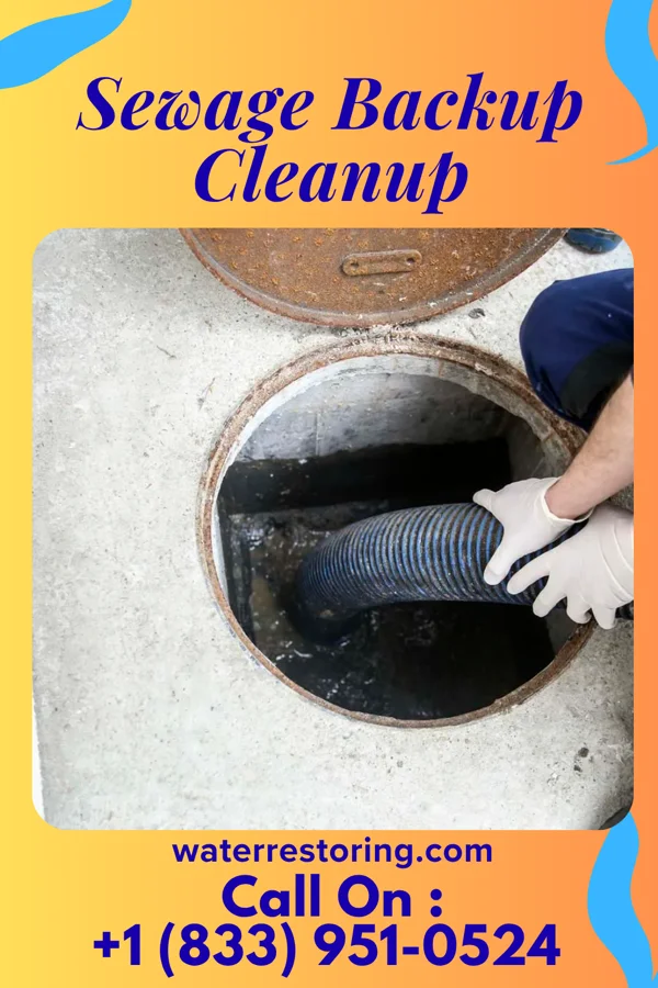 Sewage Backup Cleanup in Versailles, KY